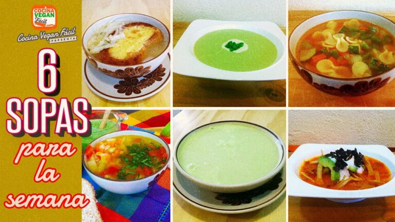 Deliciosas Sopas y Caldos Vegetarianos Nutritivos
